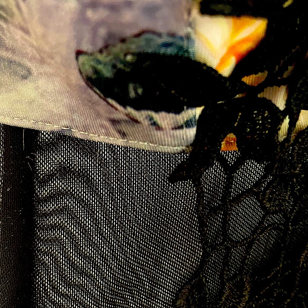 Flowery Hal’s sheer dress